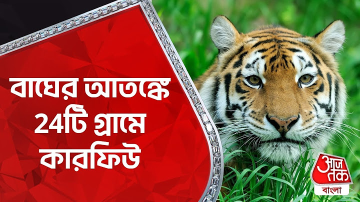 বাঘের আতঙ্কে 24টি গ্রামে কারফিউ | Curfew In 24 Uttarakhand Villages | Tiger Attack