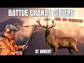 Battue aux grands gibiers  st hubert