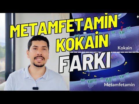 METAMFETAMİN ve KOKAİN FARKI 🚫👀 Metamfetamin Etkileri - Metamfetamin Bağımlılığı - Kokain Etkileri