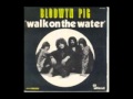 Walk on the Water - Blodwyn Pig