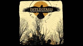Degradation - Phyllotaxis