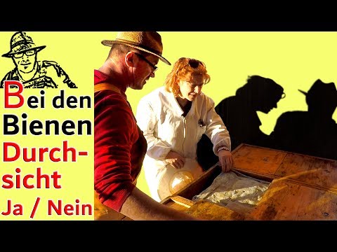 Bienen im Winter - Durchsicht ja oder nein? Und wie sollten Imker miteinander umgehen?