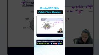 Monday MCQ skills Topic: Pelvic floor muscles | NEETPG,FMGE,INICET