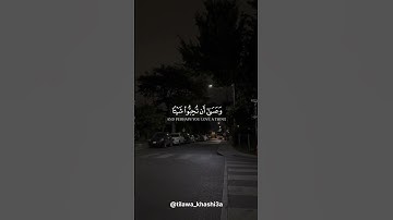 القارئ محمد هشام |تلاوه خاشعه من سوره البقره 🌿