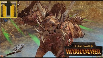 Warhammer: Multiplayer Battle #193- 1v1 Happy Razorgors