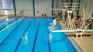 2017 UNCW Men's 1m - Dive 10 403C