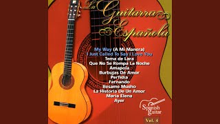 Video thumbnail of "Guitarra Flamenca: Domi de Ángeles - My Way, A Mi Manera (Guitar)"