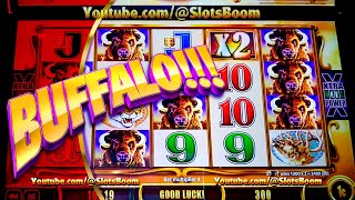 BUFFALO BONUSES!!! BUFFALO GOLD REVOLUTION - Aristocrat SLOTS in CASINO