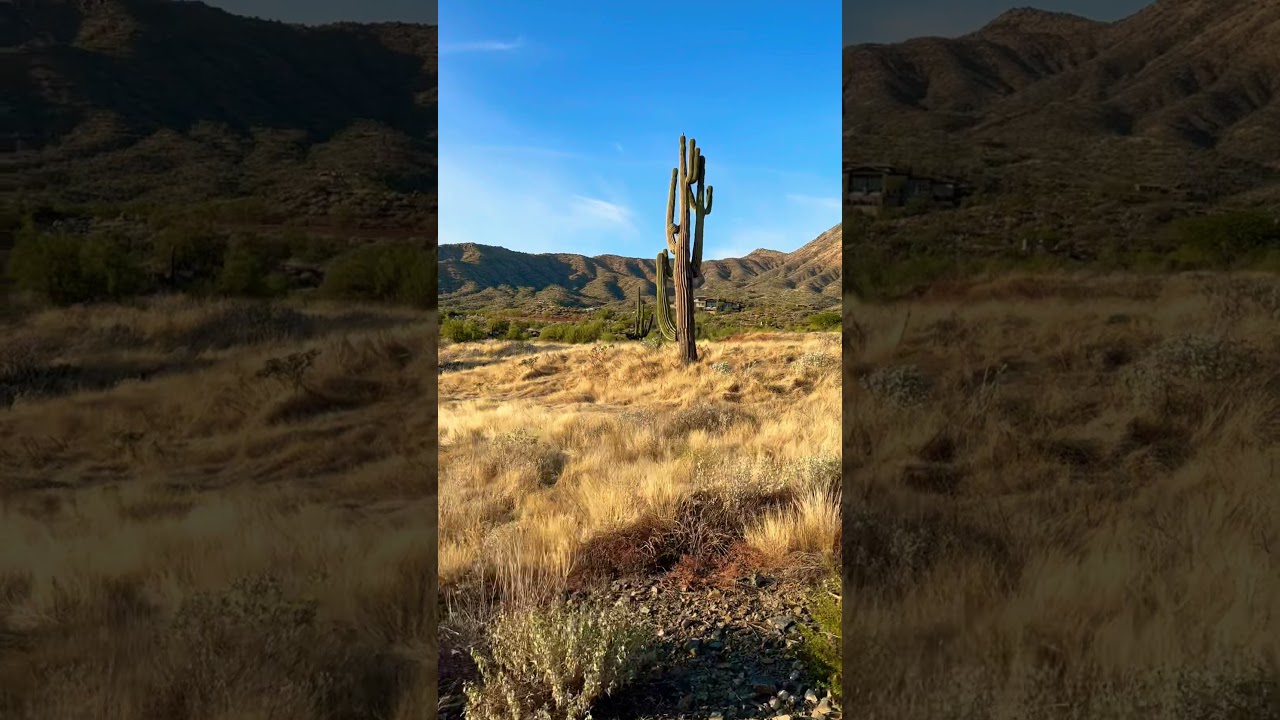 ASMR nature walk desert mountains 🏔