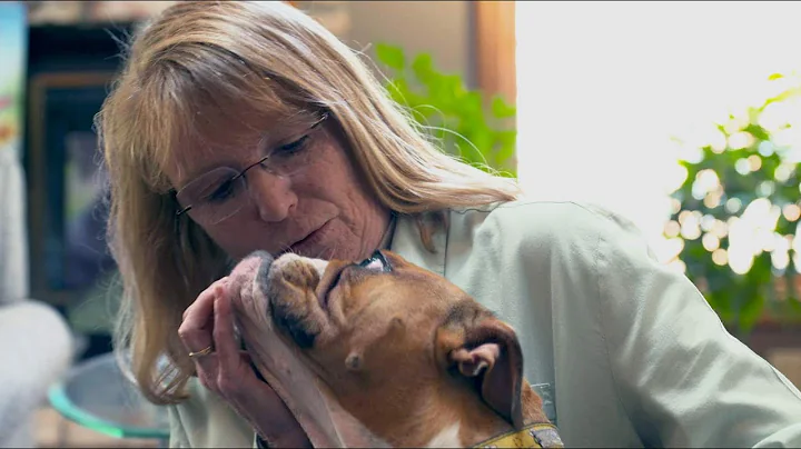 The Animal Whisperer | Nebraska Stories | Nebraska...