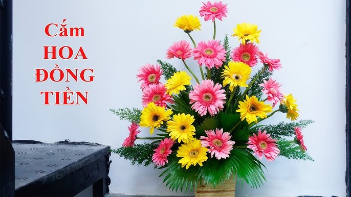 Các Lưu Ý Khi Cắm Hoa Đồng Tiền