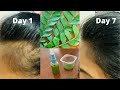 7 day Hair Miracle | With Proven Real Results | Curry Leaves Magic