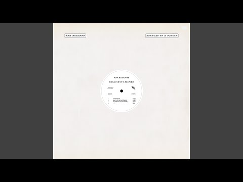 Ana Roxanne — Untitled