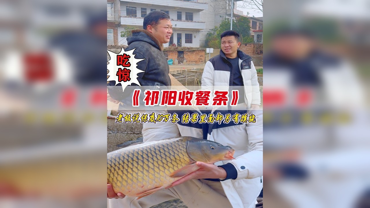 天呐！老板说餐条保底10万条，结局却让人大吃一惊！