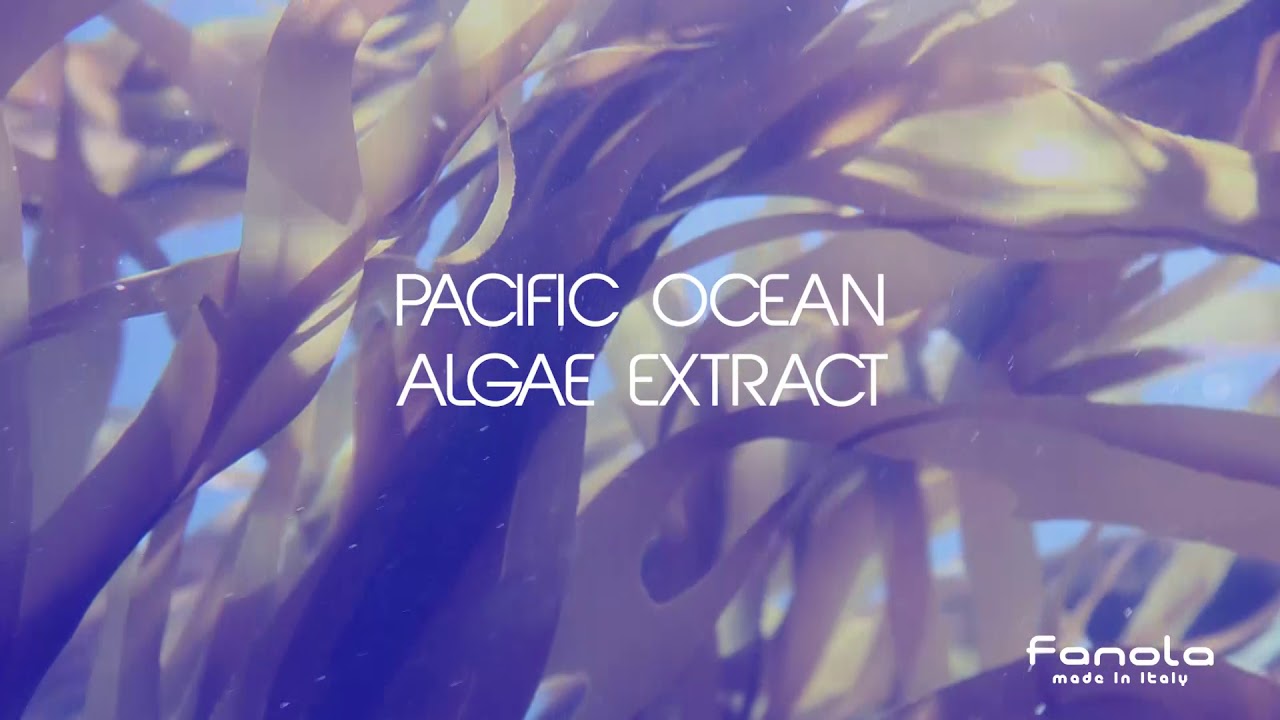 The Ocean Collection