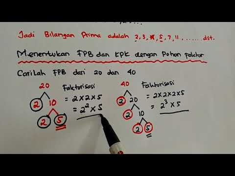 Mengenal Bilangan Prima dan Cara Menentukan FPB 
