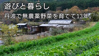 【農園ツアー】自然栽培の野菜農家が畑の一部を案内