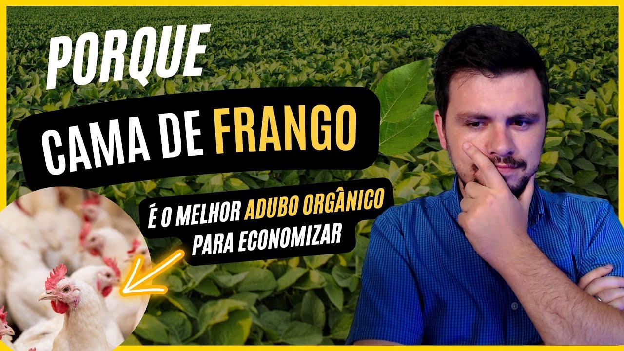 Porque CAMA DE FRANGO é o melhor adubo orgânico