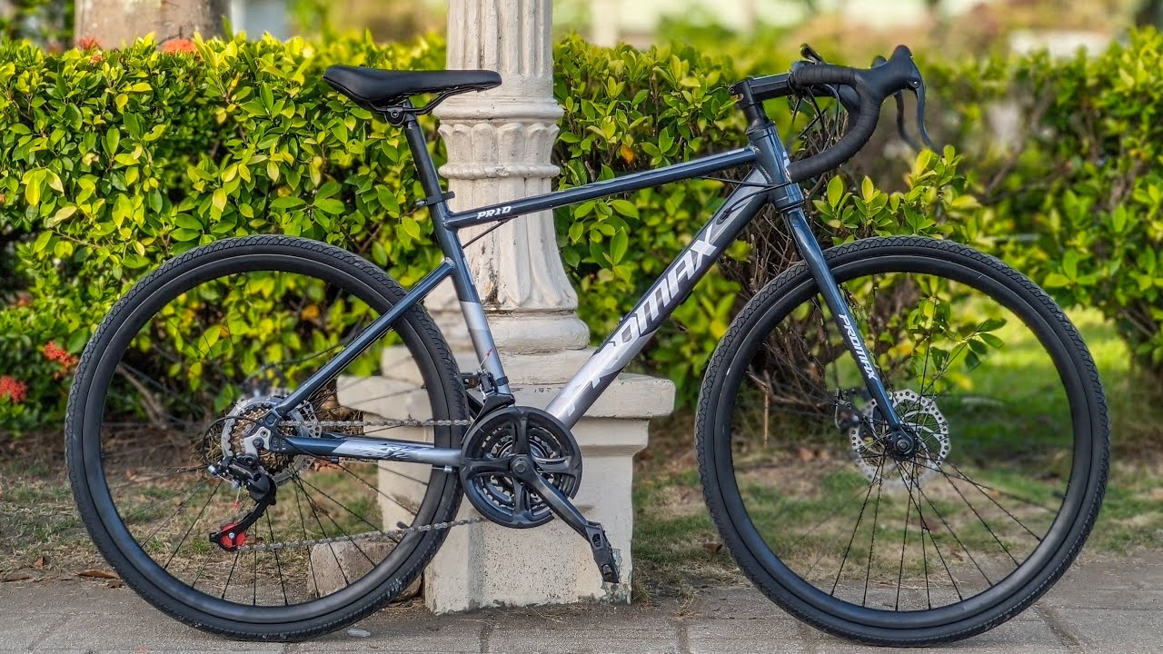 Promax PR10 bike review