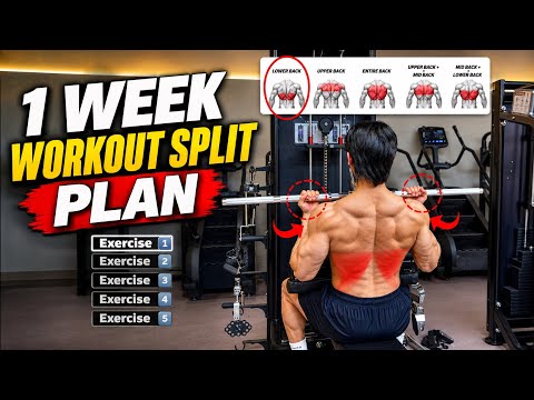🔸1 Week Workout Split Program Build Muscle & Recover Smarter🔥 #weeklyworkout #workoutsplit #gymtips 