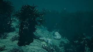Virtual Dive Tour