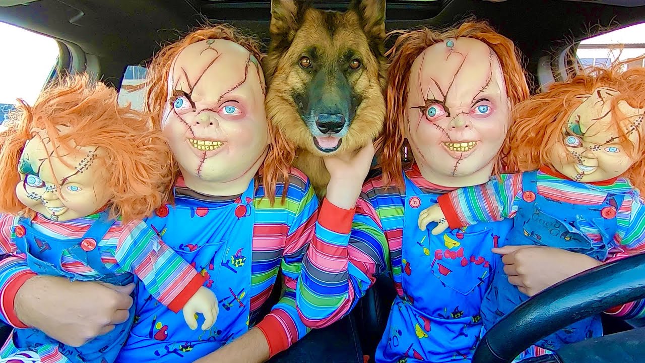 Чаки удивил собаку погоней на машине