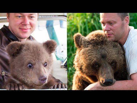 История искренней дружбы человека и медведя 🧡 Андрей и Мансур.