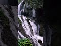 Your Mind Needs This Right Now