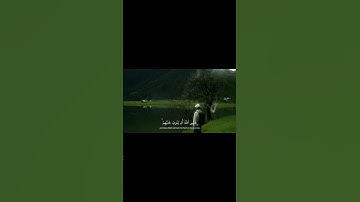 { وَآخَرُونَ اعْتَرَفُوا بِذُنُوبِهِمْ } تلاوة هادئة من سورة التوبة #اكسبلور #القرآن_الكريم