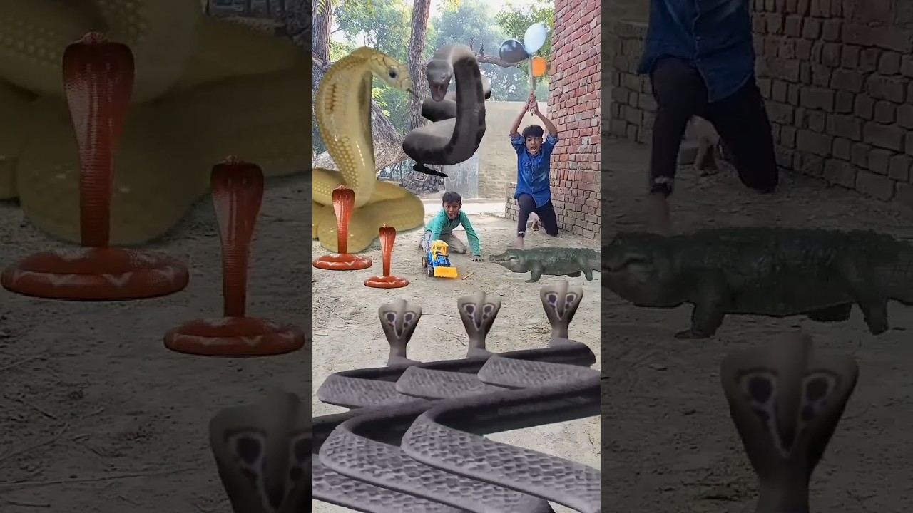 karpuram gorav 🙏 har har sumbhu 