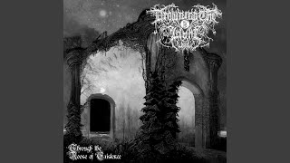 Forgotten Marshes - Drowning the Light