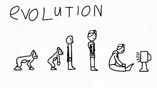 The Evolution Of Bumpstripe