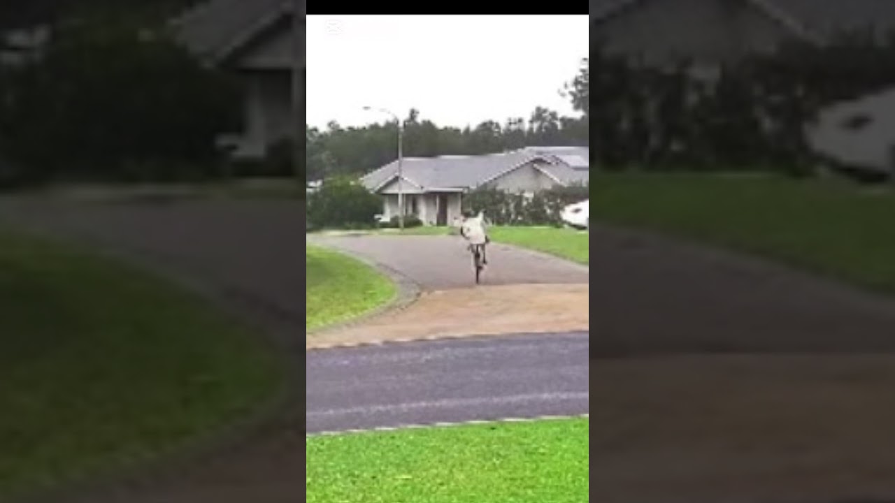 This is why you ware a helmet 