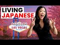 Whatʻs It Like To Be Japanese And Living In Las Vegas, NV?