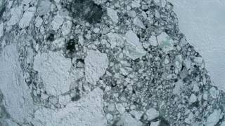 A Trip To Abashiri In Hokkaido A Stunning Icebreaker Cruise On The Sea Of Okhotsk In Winter