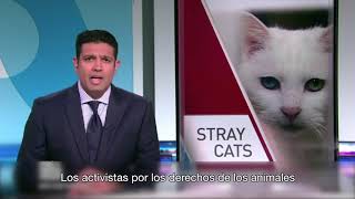 Suara Foundation (DOCUMENTARY)