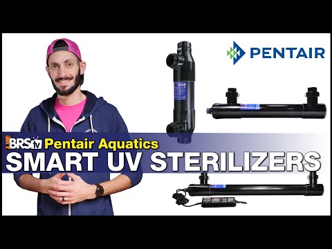 Pentair Aquatics UV Sterilizer: The UV Sterilizer for Reef Tanks the Pros Choose! A Tool Not a