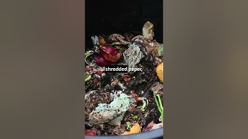 Your Compost Shouldn’t Stink—Fix It Fast