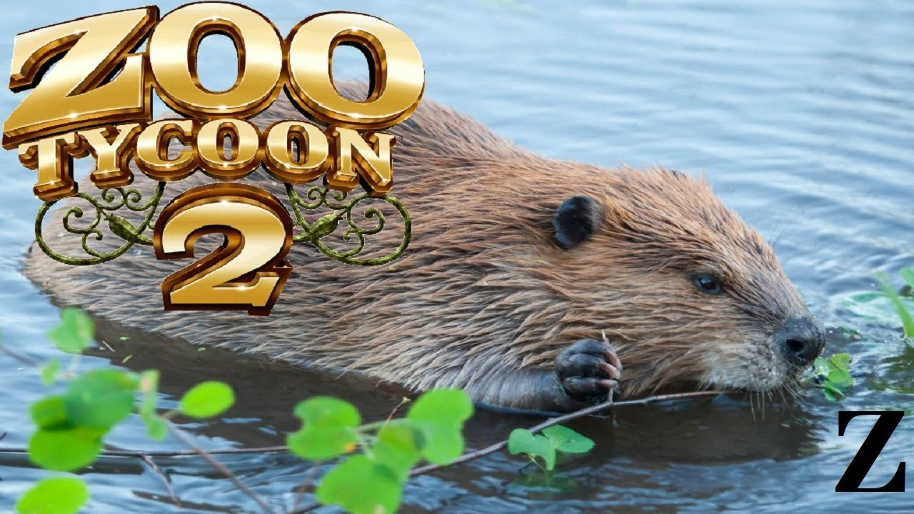 Zoo Tycoon 2 Exhibit Speed Build American Beaver YouTube