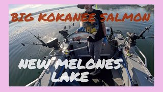 New Maloneys Fishing Kokanee Salmon and Trout Techniques to get fish to the net gear up for big fish