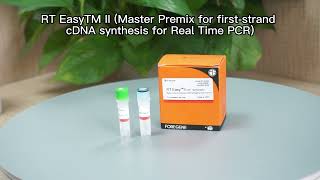 RT Easy II Master Premix for first strand cDNA synthesis for Real Time PCR