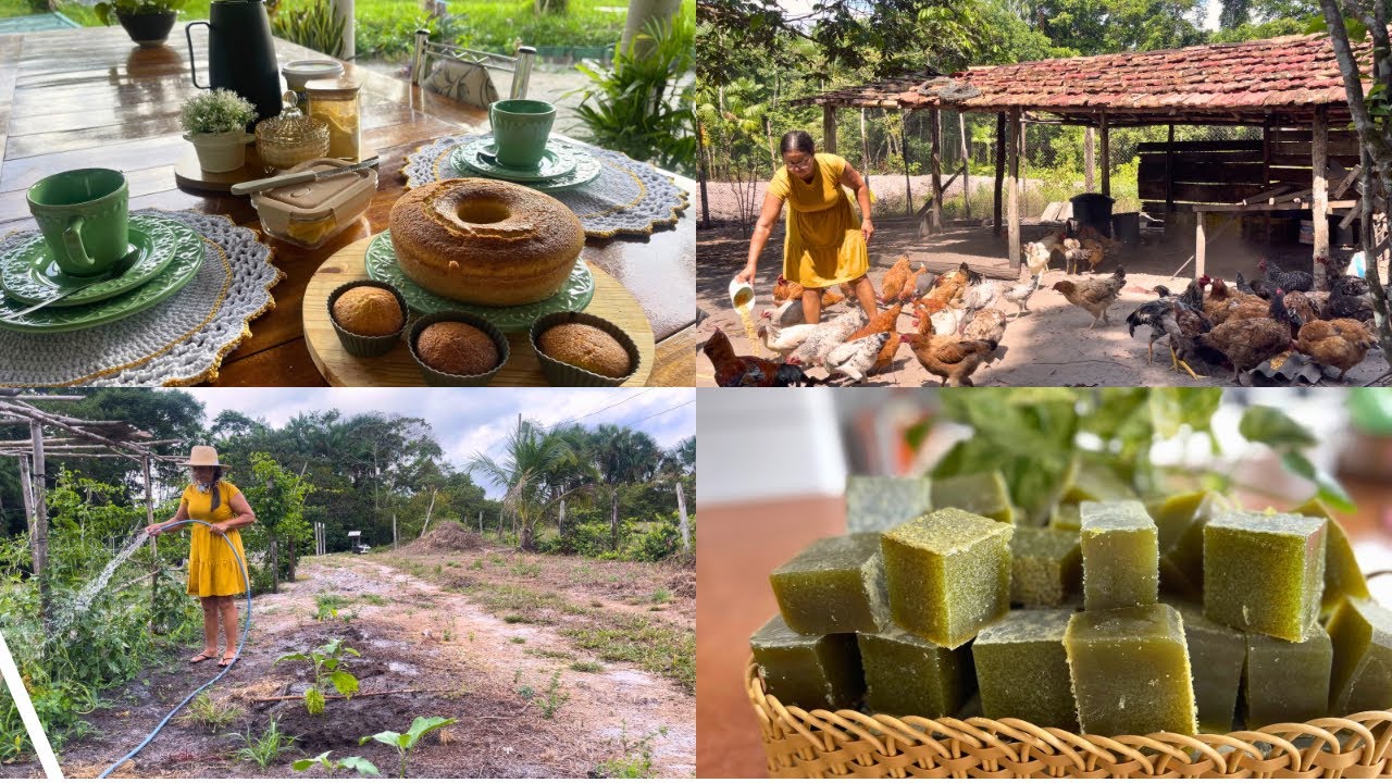 Vida Simples na Roça / horta + galinhas 🐓 + Almoço  Caipira + Sabão de folhas 🍃 de Mamão 💚
