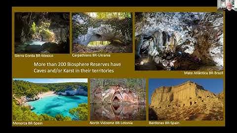 CaveMAB   Karst 2020