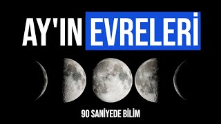 Ay'ın Evreleri ve Hareketleri - 90 Saniyede Bilim Resimi