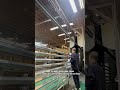 Real factory#fyp #aluminumveneer#construction #buildingmaterials #aluminum #OEM #ODM
