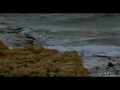 بخيرهم ما خيروني 