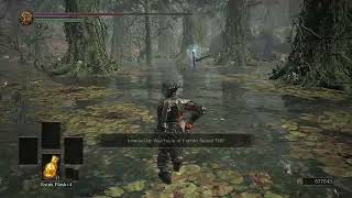 Ds3 player's need to level up their vigor