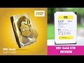 Western Digital GOLD HDD Hard Drive REVIEW