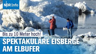 Arktis-Feeling Im Norden Eisberge An Der Elbe Ndr Info