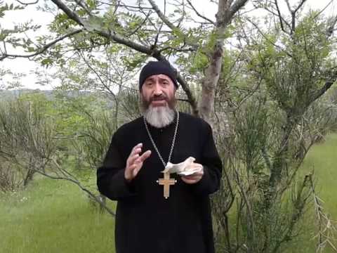 დეკანოზი გიორგი სხირტლაძე   უფალი ჩვენთანაა